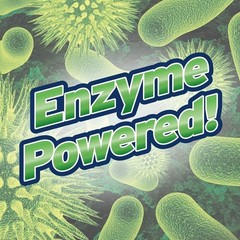 1 Gallon Enzyme Drain Cleaner &ndash; Gentle Yet Powerful Odor Eliminator, Septic Safe