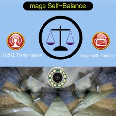 328ft Drain Camera with 512hz Self-leveling Pipe Inspection Camera 10.1&Prime; Monitor