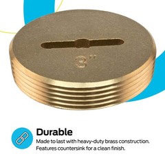 Eastman 3 Inch Slotted Brass Cleanout Plug, Machine-Threaded 3 in.,