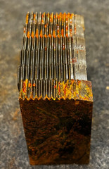 TB 124 HS 1 1/2 Dies