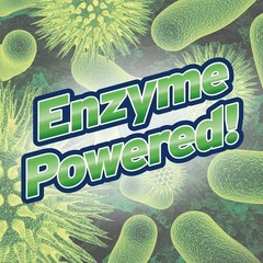 Prevent Clogs with Enzyme Drain Cleaner &ndash; Ocean Breeze