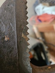 Ridgid Heavy Duty Pipe Wrench 48in / Forged Steel / Sharp Teeth / Ships Free
