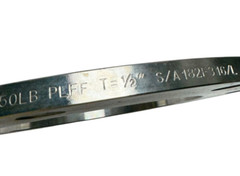 WA S/A182F316/L Stainless Steel Plate Flange 150 LB 15CT8405, 8&Prime; 1/2&Prime; Thick